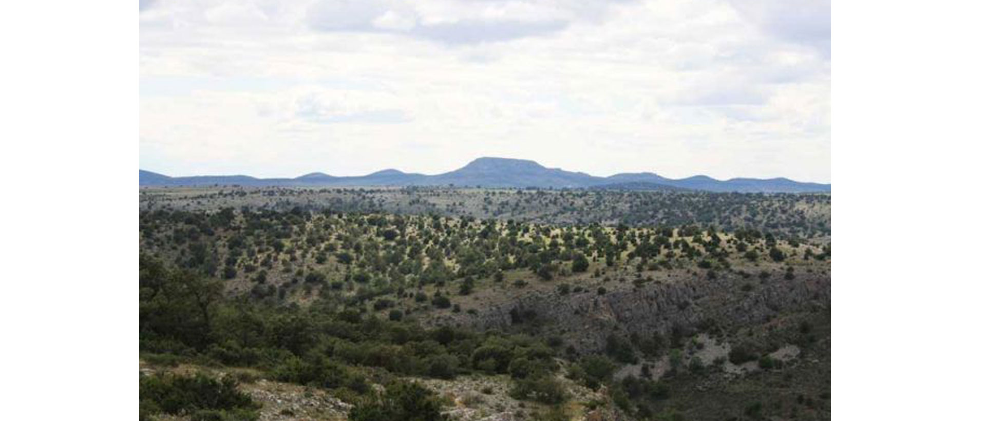 Ruta sendero iberico soriano