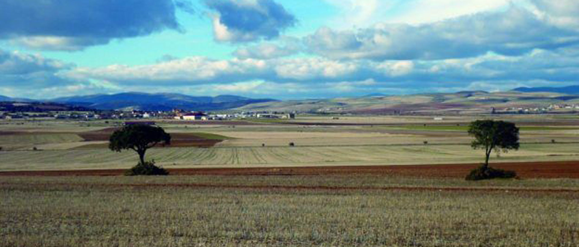 Ruta de los torreones