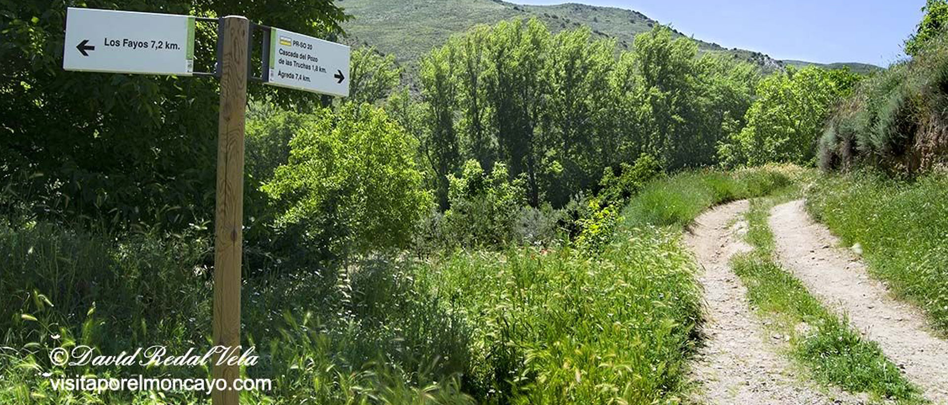 Ruta de los torreones